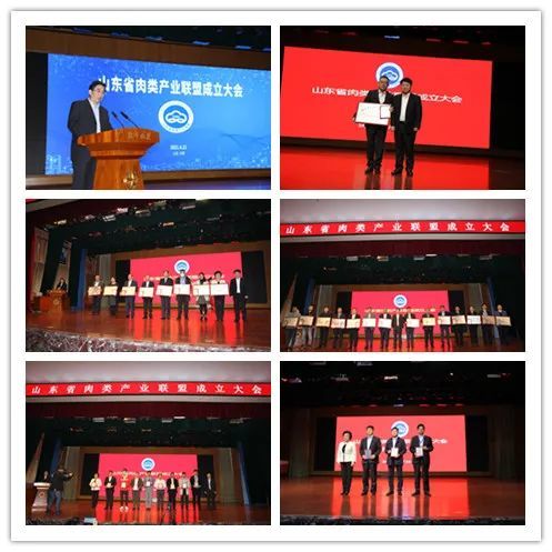 中國食品報網(wǎng) 山東省肉類產(chǎn)業(yè)聯(lián)盟濟(jì)南成立