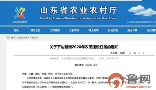 山東下達新增高標準農(nóng)田建設任務15萬畝